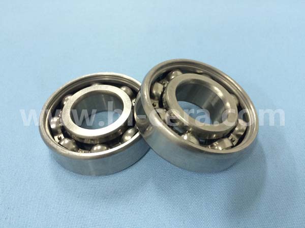 Stainless hybrid bearing