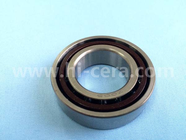  Hybrid bearing P4